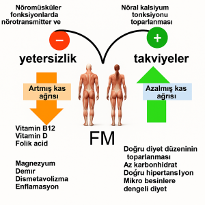 fibromiyalji nedir 
beslenme tedavisi